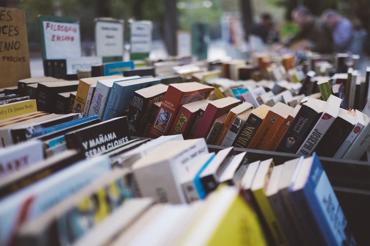 Braderie annuelle de la bibliothèque de martignas sur jalle