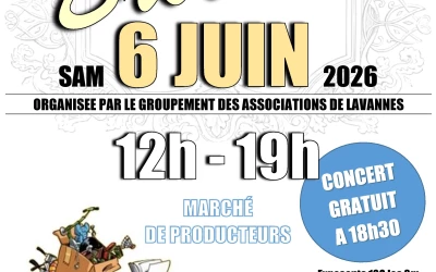 6ème brocante vide grenier de lavannes (51)