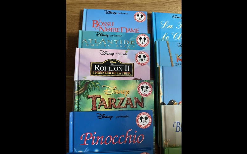 lot de 12 livres Disney